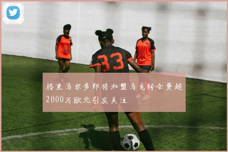 格里马尔多即将加盟马竞转会费超2000万欧元引发关注