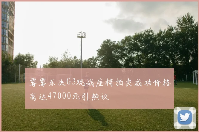 霉霉东决G3观战座椅拍卖成功价格高达47000元引热议